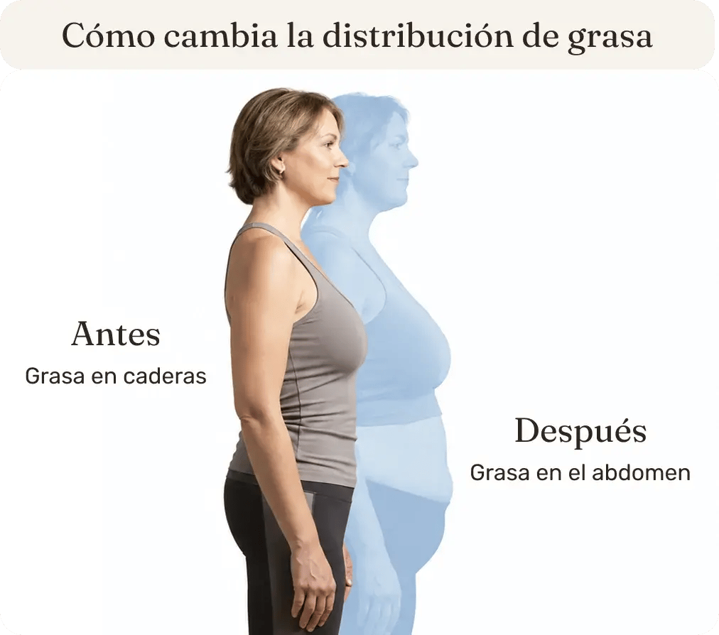 control-de-peso-menopausia-distribucion-grasa