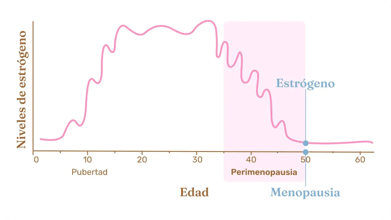 perimenopausia-sintomas-tratamiento-grafica-1