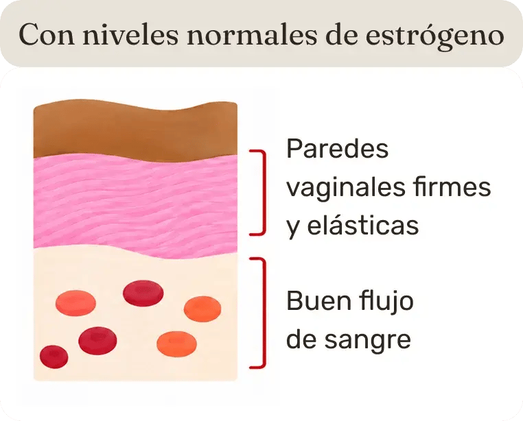 Salud-vaginal-en-la-menopausia-antes