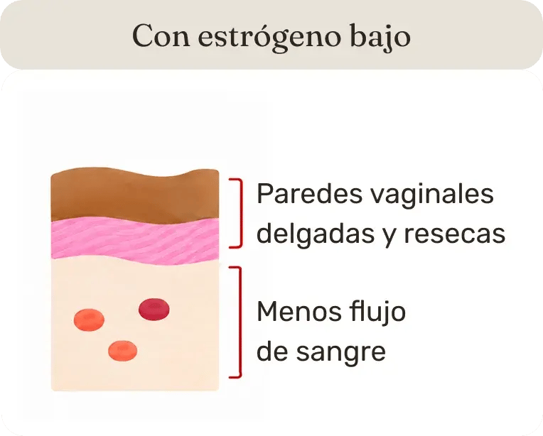 Salud-vaginal-en-la-menopausia-despues